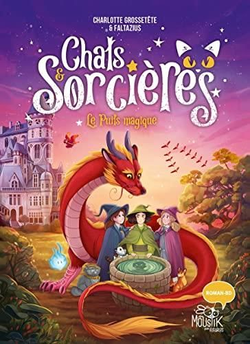 Chats & sorcières T.03 : Le puits magique